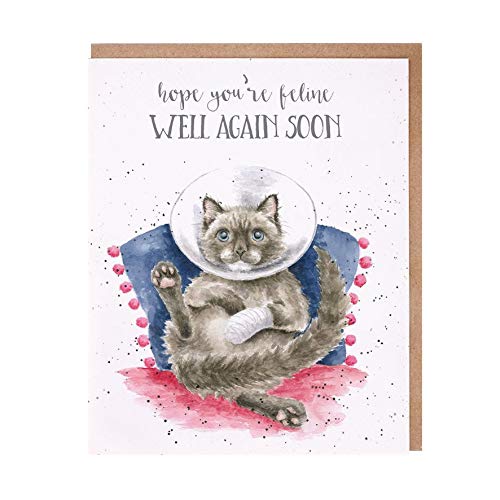 Wrendale - OC105 - Doppelkarte mit Umschlag, Gute Besserung, Katze, hope you´re feline well again soon, 14cm x 17cm von Wrendale Designs