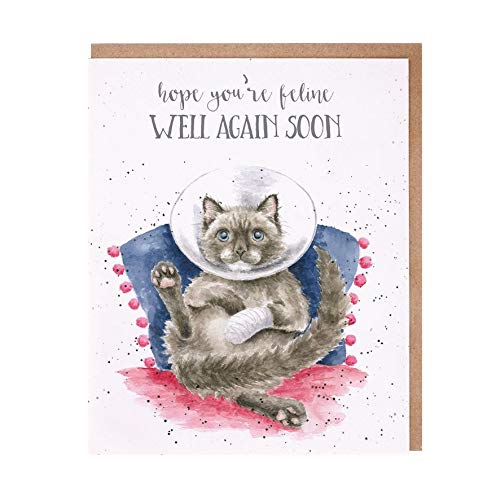 Wrendale - OC105 - Doppelkarte mit Umschlag, Gute Besserung, Katze, hope you´re feline well again soon, 14cm x 17cm Wrendale - OC105 - Doppelkarte mit Umschlag, Gute Besserung, Katze, hope you´re feline well again soon, 14cm x 17cm von Wrendale Designs