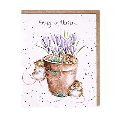 Wrendale - OC109 - Doppelkarte mit Umschlag, Mäuse, Hang in there, 15cm x 15cm, quadratisch, beige von Wrendale Designs