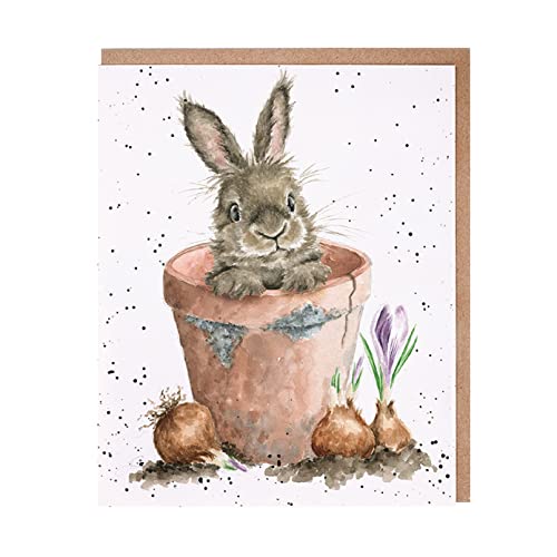 Wrendale - ACS168 - Grußkarte, Doppelkarte mit Umschlag, the flower pot, Hase im Blumentopf, The Country Set Karte, 17cm x 12,5cm von Wrendale