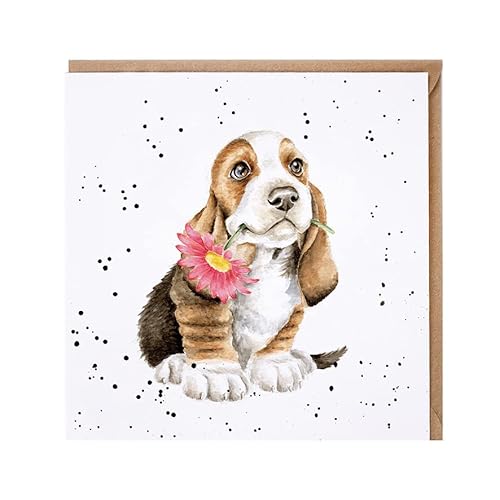Wrendale - CS236 - Grußkarte, Doppelkarte mit Umschlag, Just for you, Hund mit Blume, Country Set Karte, 15cm x 15cm von Wrendale