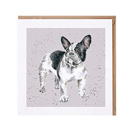 Wrendale Doppelkarte mit Umschlag Motiv französiche Bulldogge, 15x15 cm Wrendale Doppelkarte mit Umschlag Motiv französiche Bulldogge, 15x15 cm von Wrendale Designs