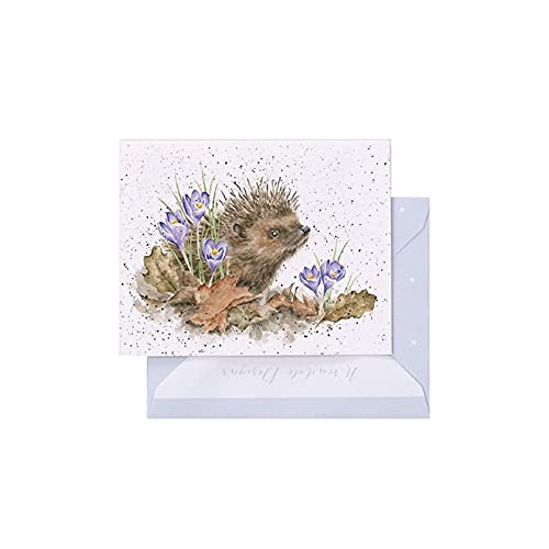 Wrendale - GE097 - Grußkarte, Doppelkarte mit Umschlag, Mini Karte, Nur für dich, Igel, New beginnings, 7,5cm x 9cm von Wrendale Designs