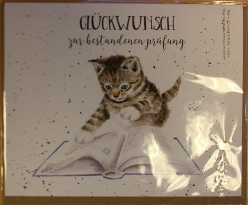Wrendale - GOC073 - Grußkarte, Doppelkarte mit Umschlag, Katze, Glückwunsch zur bestandenen Prüfung, 17cm x 12,5cm von Wrendale
