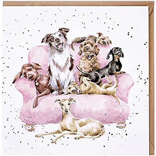 Wrendale Geburtstagskarte, Motiv: Filmnacht, Hunde auf dem Sofa, cremefarben von Wrendale
