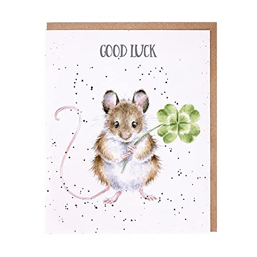 Wrendale - OC110 - Doppelkarte mit Umschlag, Maus, Good Luck, 15cm x 15cm, quadratisch von Wrendale Designs