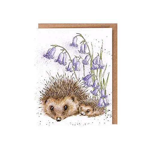 Wrendale - WILD004 - Grußkarte, Doppelkarte mit Umschlag, Igel, 14,5cm x 10,8cm Wrendale - WILD004 - Grußkarte, Doppelkarte mit Umschlag, Igel, 14,5cm x 10,8cm von Wrendale Designs