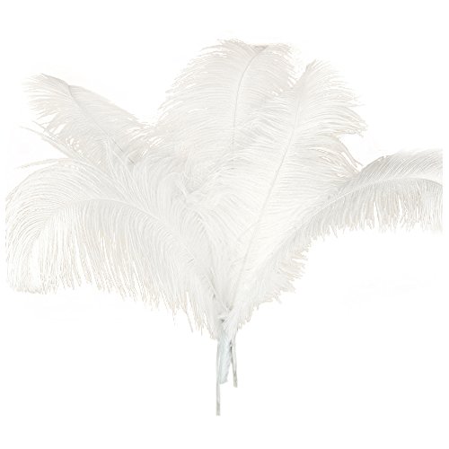 Wresetly 10 Stück natürliche Straußenfedern Hochzeit Dekoration Weiß 45-50 cm Wresetly 10 Stück natürliche Straußenfedern Hochzeit Dekoration Weiß 45-50 cm von Wresetly