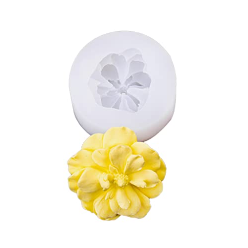 Silikon Fondantseife Kuchenformen Cupcake Gelee Süßigkeiten Schokoladendekoration Backwerkzeug Formwagen Dekoration von Wsdsgz