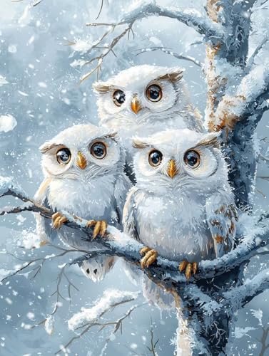 Diamond Painting Erwachsene, 5D Diamant Painting Bilder Eulen 30x40 cm, DIY Full Round Diamant Malerei mit Zubehör, Diamond Art Kinder Mosaikherstellung Bastelset für Herbst Zimmer Deko, Geschenke S-9 von Wuiddnng