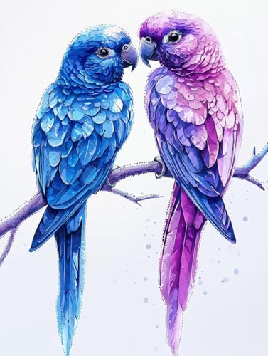 Diamond Painting Erwachsene, 5D Diamant Painting Bilder Kolibri 30x40 cm, DIY Full Round Diamant Malerei mit Zubehör, Diamond Art Kinder Mosaikherstellung Bastelset für Herbst Home Zimmer Deko P-15 von Wuiddnng