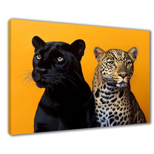 Diamond Painting Erwachsene Tier Diamond Painting XXL 30x40 cm Leopard Diamant Malerei Kinder Anfänger DIY 5D Malen nach Zahlen Stickerei Bastelset Wohnzimmer Deko, Mädchen/Jungs Geschenk F1-414 von Wuleogxi