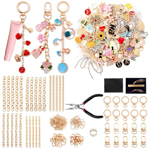 Wurosi 325-teiliges Schlüsselanhänger-Set, inklusive 20 Schlüsselanhänger-Clips, 25 Verlängerungsketten, 118 Charm-Schmuckzangen, Taschen-Charm-Set, Schlüsselanhänger-Zubehör für Bastelarbeiten und von Wurosi