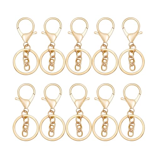 X-Institute 50/100 Stück Schlüsselband-Karabinerhaken mit Kette für Schlüsselanhänger, Schmuck, Zubehör, Schlüsselanhänger, Schmuckherstellung, Handwerk, Karabinerhaken X-Institute 50/100 Stück Schlüsselband-Karabinerhaken mit Kette für Schlüsselanhänger, Schmuck, Zubehör, Schlüsselanhänger, Schmuckherstellung, Handwerk, Karabinerhaken von X-Institute
