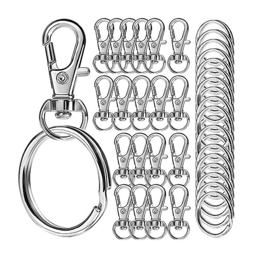 X-Institute 60/240 Stück Karabinerhaken mit Schlüsselringen, Karabinerverschlüsse, Schlüsselanhänger aus Metall für Schlüsselanhänger, Schlüsselband, Geschenkkäufer X-Institute 60/240 Stück Karabinerhaken mit Schlüsselringen, Karabinerverschlüsse, Schlüsselanhänger aus Metall für Schlüsselanhänger, Schlüsselband, Geschenkkäufer von X-Institute
