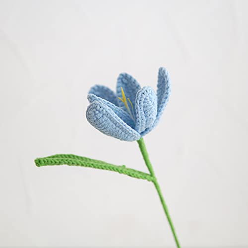 X-Institute Künstliche Häkelblume, handgewebte Blume, dekorative Ornamente, Party, für Schule, Büro, Schlafsaal, Esstisch, handgewebte Blume X-Institute Künstliche Häkelblume, handgewebte Blume, dekorative Ornamente, Party, für Schule, Büro, Schlafsaal, Esstisch, handgewebte Blume von X-Institute