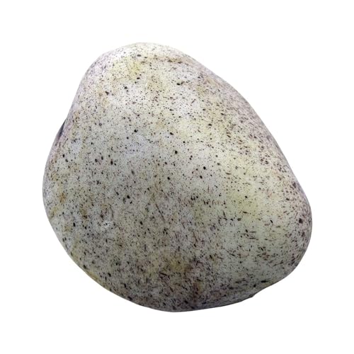 X-Institute Realistischer Stein-Schlüsselverstecker für den Außenbereich, Garten, Imitation, Felsen, Schlüsselhalter, sichere Außenschlüssel-Versteckung, Dekoration für Geocaching X-Institute Realistischer Stein-Schlüsselverstecker für den Außenbereich, Garten, Imitation, Felsen, Schlüsselhalter, sichere Außenschlüssel-Versteckung, Dekoration für Geocaching von X-Institute
