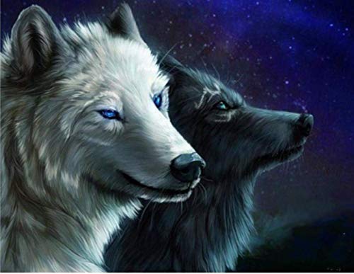 XADITON Malen nach Zahlen Kunst Tier schwarz und weiß Wolf Digitale Malerei Wandkunst Bild 16 * 20 Zoll Weihnachtsdekor Dekorationen Geschenke für Kinder und Erwachsene (kein Rahmen) von XADITON