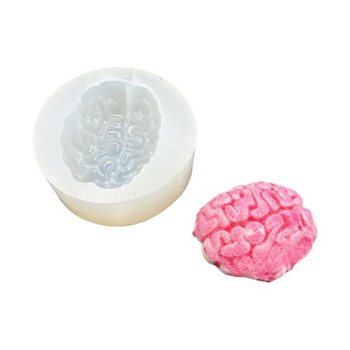 Silikonsimulation Herz/Gehirn/Organform Für Anatomie Studie Modell Erstellung Bildungsanatomie Schimmelpilze Simulation Silikon von XAGMODSHN