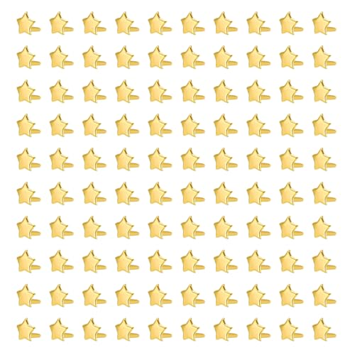 XANHOY 100 Stück Brads Musterklammern Metall Papierverschlüsse Splintstifte Rundkopfklammern für Schule Scrapbooking Papier Büroklammer XANHOY 100 Stück Brads Musterklammern Metall Papierverschlüsse Splintstifte Rundkopfklammern für Schule Scrapbooking Papier Büroklammer von XANHOY
