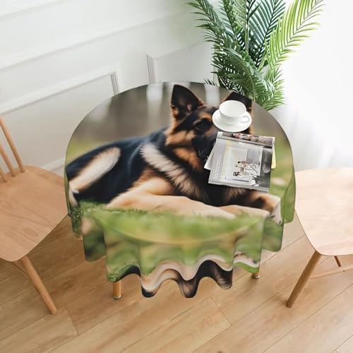 XBKGOHA Runde dekorative Tischdecke, 152,4 cm, Tiermotiv, Deutscher Schäferhund, für den Innen- und Außenbereich, auf runden Tischen wie Couchtischen, Esstischen und Bauernhoftischen von XBKGOHA