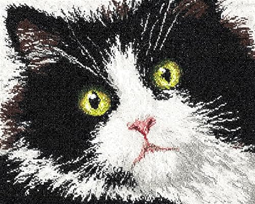 Knüpfset Teppich Selber Machen,DIY Latch Hook Kit mit vorgedrucktem Muster,Knüpfteppich Set für Kinder & Erwachsene,Handarbeits-Set für Kissen & Teppich Basteln,Schwarz-weiße Katze-52x38cm Knüpfset Teppich Selber Machen,DIY Latch Hook Kit mit vorgedrucktem Muster,Knüpfteppich Set für Kinder & Erwachsene,Handarbeits-Set für Kissen & Teppich Basteln,Schwarz-weiße Katze-52x38cm von XDEGHUANGSS