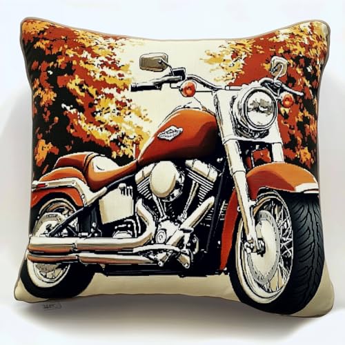 XDEGHUANGSS Knüpfhaken-Set,Knüpfkissen,Teppich,Überwurf Kissen,Matte, Stickerei-Bastelsets für Anfänger, mit bedrucktem Muster, Leinwand, Heimdekoration,43x43 cm,Motorrad XDEGHUANGSS Knüpfhaken-Set,Knüpfkissen,Teppich,Überwurf Kissen,Matte, Stickerei-Bastelsets für Anfänger, mit bedrucktem Muster, Leinwand, Heimdekoration,43x43 cm,Motorrad von XDEGHUANGSS