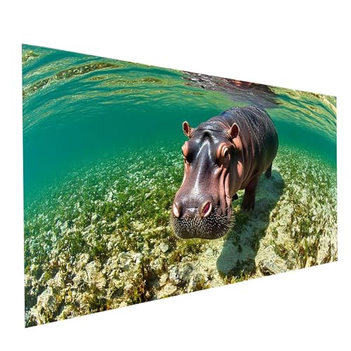 5D Diamond Painting Erwachsene Nilpferd Square Volldiamant Malen Nach Zahlen Tier, Diamant Strasssteine DIY Set mit Diamond Painting Zubehör, Bastelset Erwachsene für Zimmer Deko 140x70cm Model-00390 5D Diamond Painting Erwachsene Nilpferd Square Volldiamant Malen Nach Zahlen Tier, Diamant Strasssteine DIY Set mit Diamond Painting Zubehör, Bastelset Erwachsene für Zimmer Deko 140x70cm Model-00390 von XELIETOO