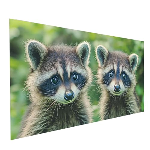 5D Diamond Painting Erwachsene Tier Runden Volldiamant Malen Nach Zahlen Waschbär, Diamant Strasssteine DIY Set mit Diamond Painting Zubehör, Bastelset Erwachsene für Zimmer Deko 160x80cm Model-06871 von XELIETOO