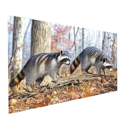 5D Diamond Painting Erwachsene Waschbär Square Volldiamant Malen Nach Zahlen Tier, Diamant Strasssteine DIY Set mit Diamond Painting Zubehör, Bastelset Erwachsene für Zimmer Deko 60 x 30 cm Model06274 5D Diamond Painting Erwachsene Waschbär Square Volldiamant Malen Nach Zahlen Tier, Diamant Strasssteine DIY Set mit Diamond Painting Zubehör, Bastelset Erwachsene für Zimmer Deko 60 x 30 cm Model06274 von XELIETOO