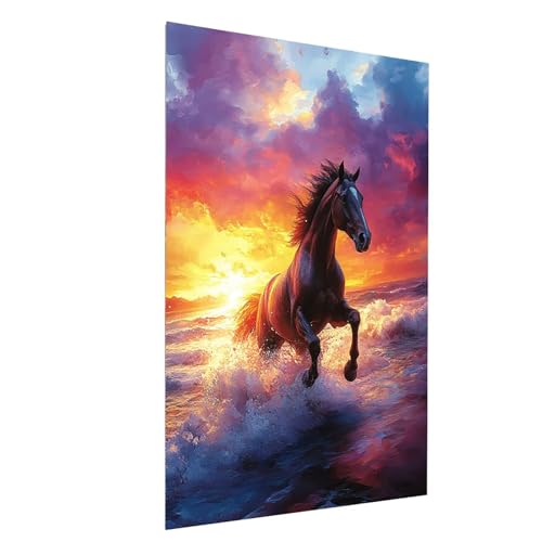 Diamond Painting Erwachsene Strand Square Volldiamant Malen Nach Zahlen Horse, Diamant Strasssteine DIY set mit Diamond Painting Zubehör, Bastelset Erwachsene für Deko Wohnzimmer 25x35cm Model-15242 von XELIETOO