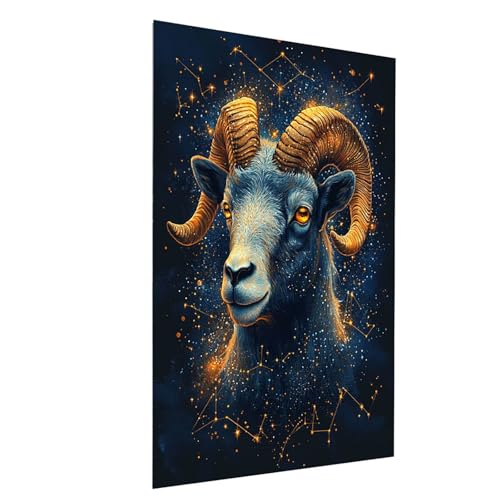 Diamond Painting Erwachsene Tier Square Volldiamant Malen Nach Zahlen Schaf, Diamant Strasssteine DIY set mit Diamond Painting Zubehör, Bastelset Erwachsene für Deko Wohnzimmer 60 x 85 CM Model-11755 Diamond Painting Erwachsene Tier Square Volldiamant Malen Nach Zahlen Schaf, Diamant Strasssteine DIY set mit Diamond Painting Zubehör, Bastelset Erwachsene für Deko Wohnzimmer 60 x 85 CM Model-11755 von XELIETOO