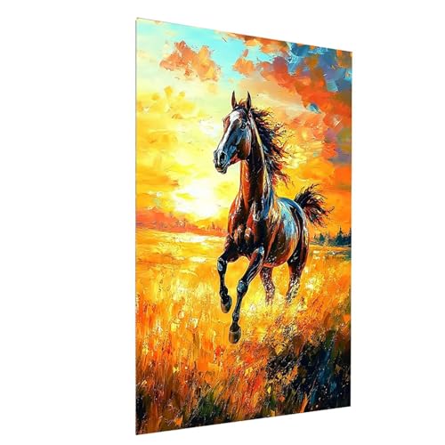 Diamond Painting Horse, 5D DIY Malen Nach Zahlen Erwachsene mit Diamond, Diamant Painting Bilder Tier, Square Strasssteine Stickerei Embroidery kit, für Wandbilder Zimmer Deko 50x70cm Model-11706 Diamond Painting Horse, 5D DIY Malen Nach Zahlen Erwachsene mit Diamond, Diamant Painting Bilder Tier, Square Strasssteine Stickerei Embroidery kit, für Wandbilder Zimmer Deko 50x70cm Model-11706 von XELIETOO