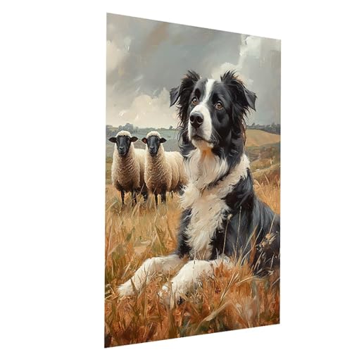 Malen Nach Zahlen Erwachsene Hund Malen Nach Zahlen Basteln Erwachsene Schaf mit Acrylfarben Set Pinselset und Leinwand zum Bemalen 35 x 50 CM, Farbe Leinwand Bilder für Deko Wohnzimmer Model-04008 von XELIETOO