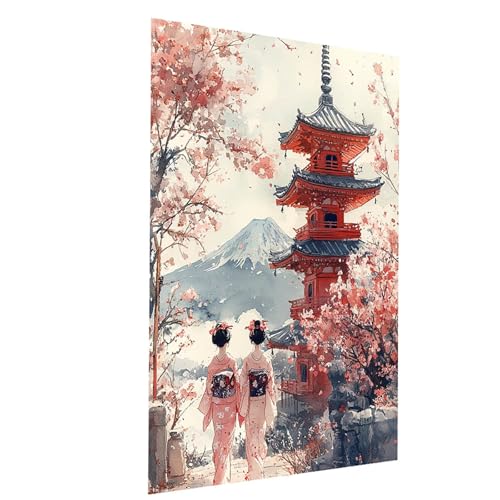 Malen Nach Zahlen Erwachsene Japan Malen Nach Zahlen Basteln Erwachsene Geisha mit Acrylfarben Set Pinselset und Leinwand zum Bemalen 40 x 55CM, Farbe Leinwand Bilder für Deko Wohnzimmer Model-01831 von XELIETOO