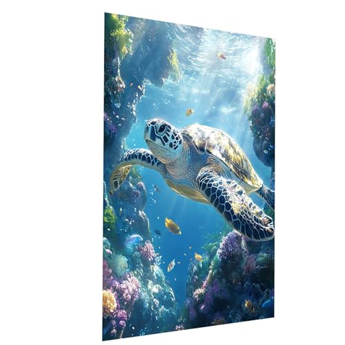 Malen Nach Zahlen Erwachsene Meeresschildkröten Malen Nach Zahlen Kinder Tier, DIY Set Erwachsene Paint by Numbers, Farbe Leinwand Zum Bemalen 55 x 40 CM für Deko Wohnzimmer Geschenke Model-04000 von XELIETOO