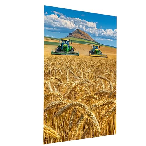 Malen Nach Zahlen Erwachsene Weizenfeld Malen Nach Zahlen Basteln Erwachsene Mähdrescher mit Acrylfarben Set Pinselset und Leinwand zum Bemalen 60x80CM, Leinwand Bilder für Deko Wohnzimmer Model-00807 Malen Nach Zahlen Erwachsene Weizenfeld Malen Nach Zahlen Basteln Erwachsene Mähdrescher mit Acrylfarben Set Pinselset und Leinwand zum Bemalen 60x80CM, Leinwand Bilder für Deko Wohnzimmer Model-00807 von XELIETOO