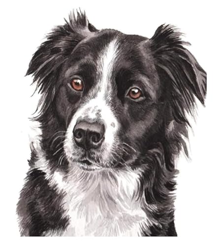 XFENDOUDOU Gestempelte Kreuzstich-Sets，11CT,DIY Cross Stitch Stickpackung Schäferhund Handarbeiten Vorgedruckter Stickerei-Starter-Kit für Anfänger(40x50cm) von XFENDOUDOU