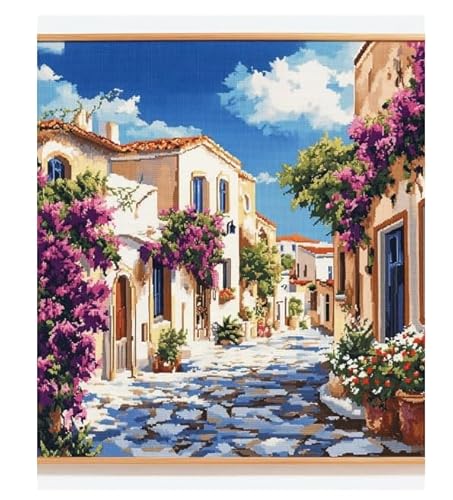XFENDOUDOU Gestempelte Kreuzstich-Sets，11CT,DIY Cross Stitch Stickpackung Schöne Straßenlandschaft Handarbeiten Vorgedruckter Stickerei-Starter-Kit für Anfänger(40x50cm) von XFENDOUDOU