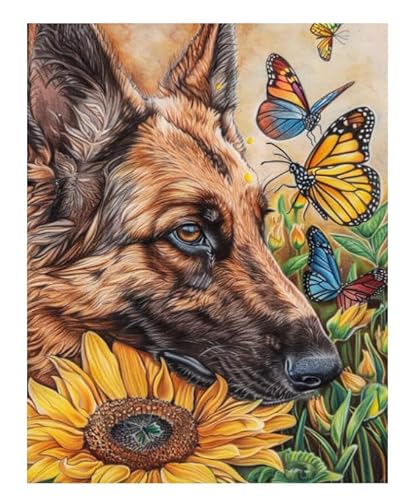 XFENDOUDOU Kreuzstich Stickpackungen Collie Butterfly 11CT Erwachsene Sticken Set,DIY Stickbilder Vorgedruckt Kreuzstich für Anfänger Home Decor （40x50cm ） von XFENDOUDOU