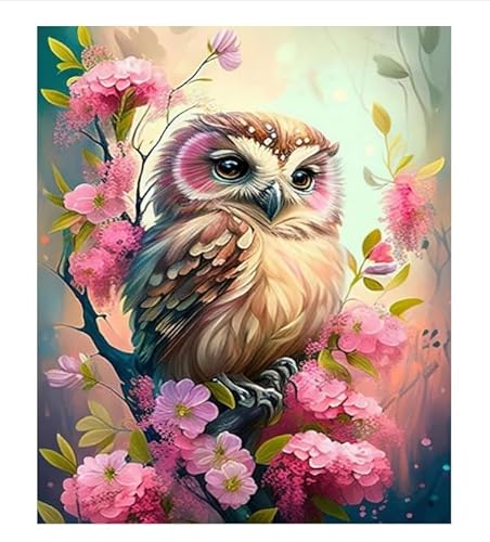 XFENDOUDOU Kreuzstich Stickpackungen Eulenblume 11CT Erwachsene Sticken Set,DIY Stickbilder Vorgedruckt Kreuzstich für Anfänger Home Decor （40x50cm ） von XFENDOUDOU