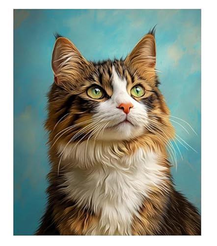 XFENDOUDOU Kreuzstich Stickpackungen Katze Tier 11 CT Kreuzstich Stickpackungen,Stickbilder Vorgedruckt Kreuzstich für Wandkunst-Heimdekoration 40x50cm von XFENDOUDOU