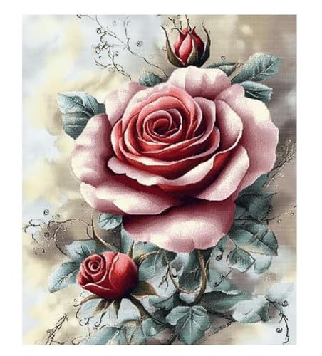 XFENDOUDOU Kreuzstich Stickpackungen Schöne Blumen Vorlagen Stickerei Set Vorgedruckt oder Zählmuster (Vorgedruckt) 40x50cm von XFENDOUDOU