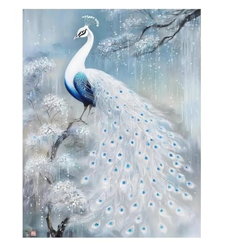 XFENDOUDOU Kreuzstich Stickpackungen Schöner Pfau 11CT Erwachsene Sticken Set,DIY Stickbilder Vorgedruckt Kreuzstich für Anfänger Home Decor （40x50cm ） von XFENDOUDOU