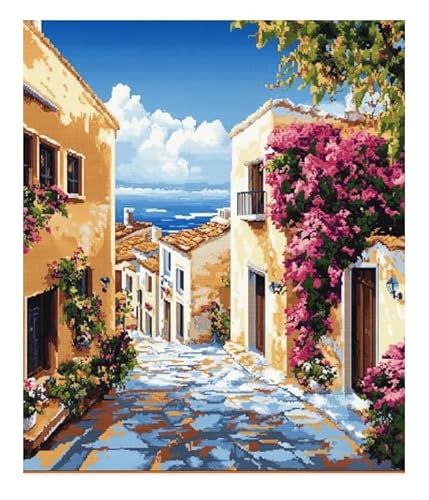 XFENDOUDOU Kreuzstich Stickpackungen Schönes Straßenhaus 11CT Cross Stitch Stamped Kit DIY Anfänger Erwachsene Embroidery Kunst Handwerk Handarbeit Kits（40 * 50cm） von XFENDOUDOU