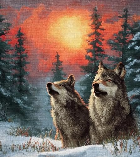 XFENDOUDOU Kreuzstich Stickpackungen Sonnenuntergang Schneeszene 11CT Cross Stitch Stamped Kit DIY Anfänger Erwachsene Embroidery Kunst Handwerk Handarbeit Kits（40 * 50cm） von XFENDOUDOU