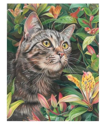XFENDOUDOU Kreuzstich Stickpackungen Traumkatze 11CT Erwachsene Sticken Set,DIY Stickbilder Vorgedruckt Kreuzstich für Anfänger Home Decor （40x50cm ） von XFENDOUDOU