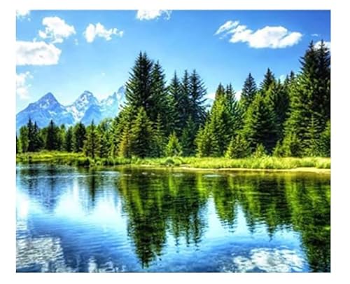XFENDOUDOU Kreuzstich Stickpackungen Wunderschöne Landschaft 11CT Cross Stitch Stamped Kit DIY Anfänger Erwachsene Embroidery Kunst Handwerk Handarbeit Kits（40 * 50cm） von XFENDOUDOU