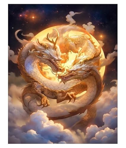 XFENDOUDOU Kreuzstich Stickpackungen Zwei Drachen 11CT Cross Stitch Stamped Kit DIY Anfänger Erwachsene Embroidery Kunst Handwerk Handarbeit Kits（40 * 50cm） von XFENDOUDOU
