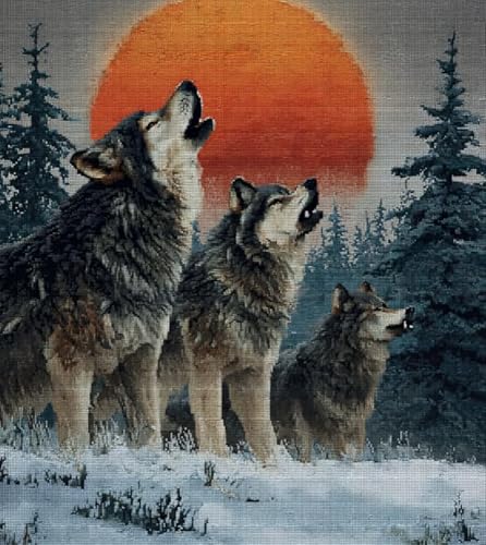 XFENDOUDOU Kreuzstich stickpackungen Schneewolf Cross Stitch Embroidery Kit Stickset Sticken Set Anfänger 16x20inch XFENDOUDOU Kreuzstich stickpackungen Schneewolf Cross Stitch Embroidery Kit Stickset Sticken Set Anfänger 16x20inch von XFENDOUDOU